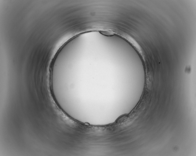 X0000090741096200708101657