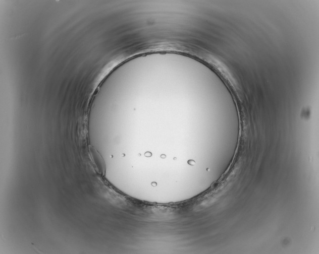 X0000090741097200708101657