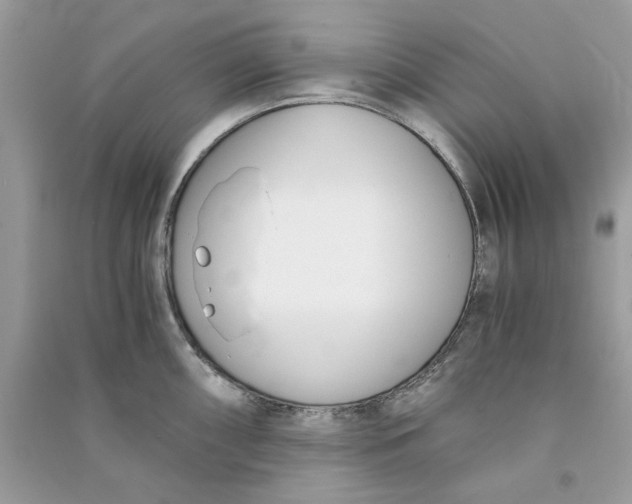 X0000090741098200708101657