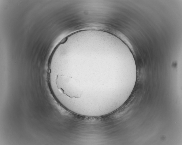 X0000090741099200708101657