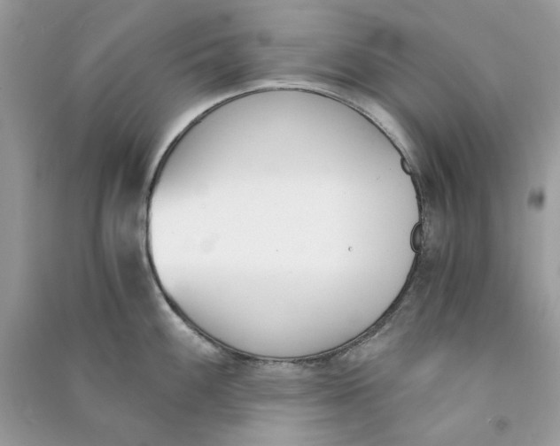 X0000090741100200708101657