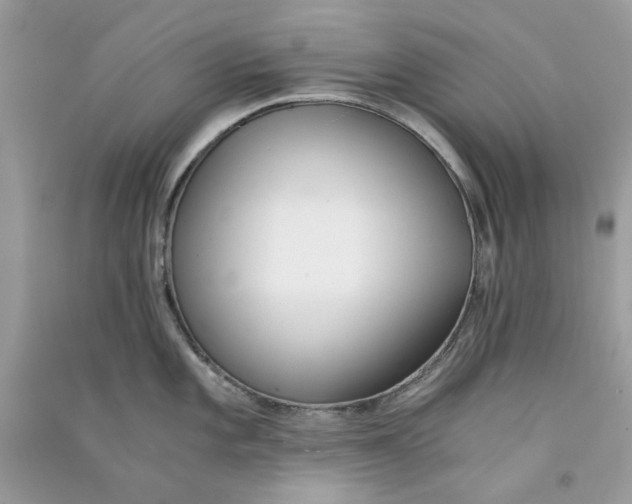 X0000090741101200708101657