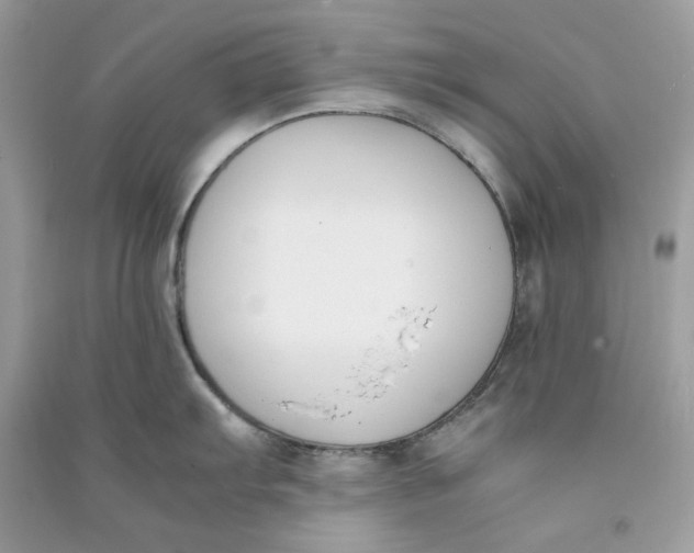 X0000090741103200708101657