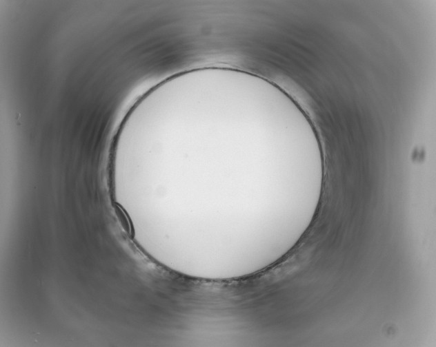 X0000090741104200708101657