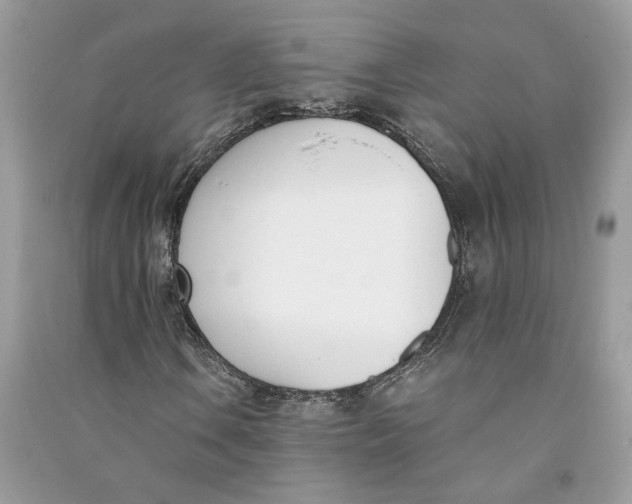 X0000090741106200708101656