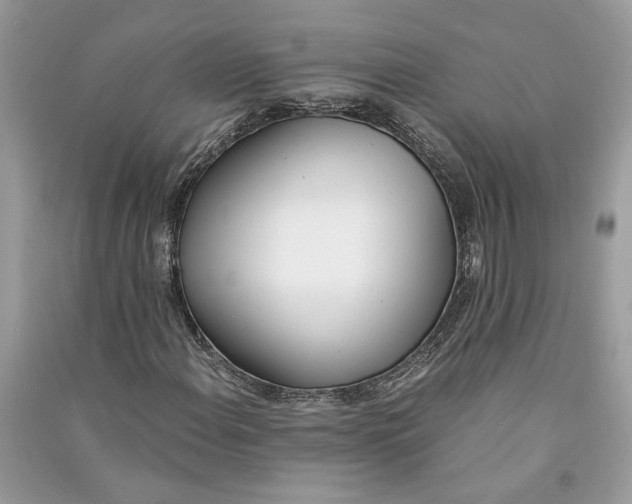 X0000090741108200708101656