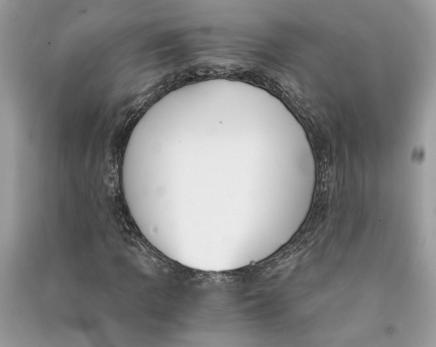 X0000090741109200708101656