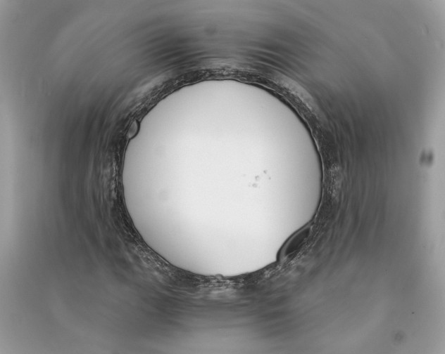 X0000090741111200708101656