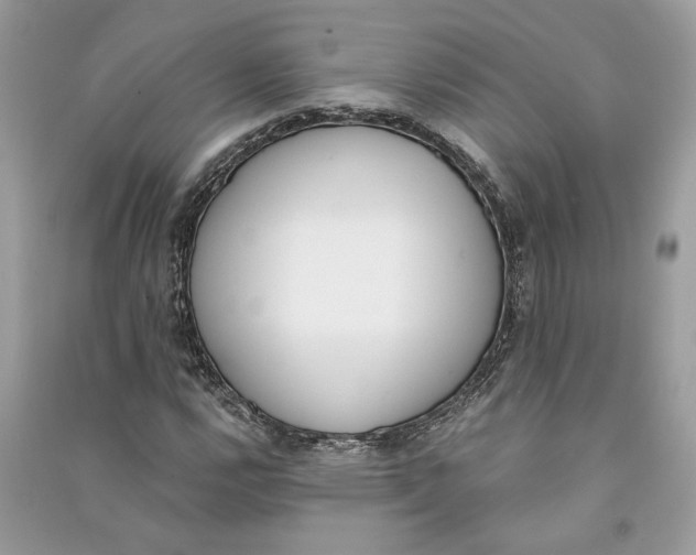 X0000090741112200708101656