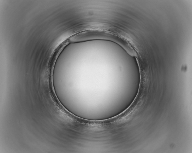 X0000090741114200708101657