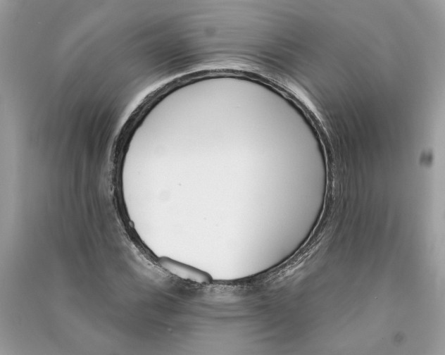 X0000090741116200708101657