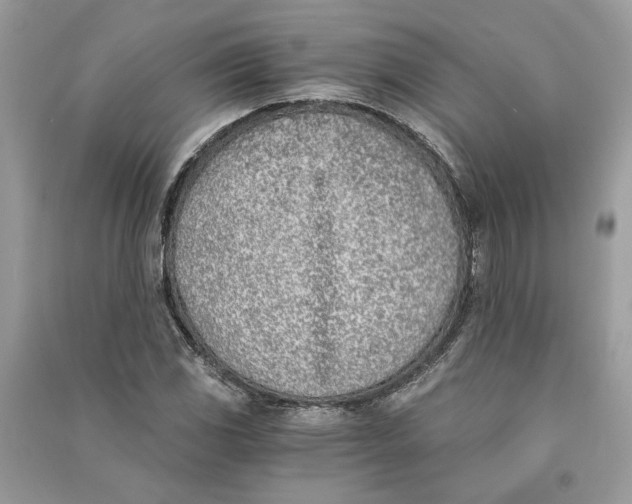 X0000090741117200708101657