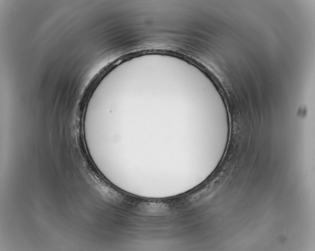 X0000090741119200708101657