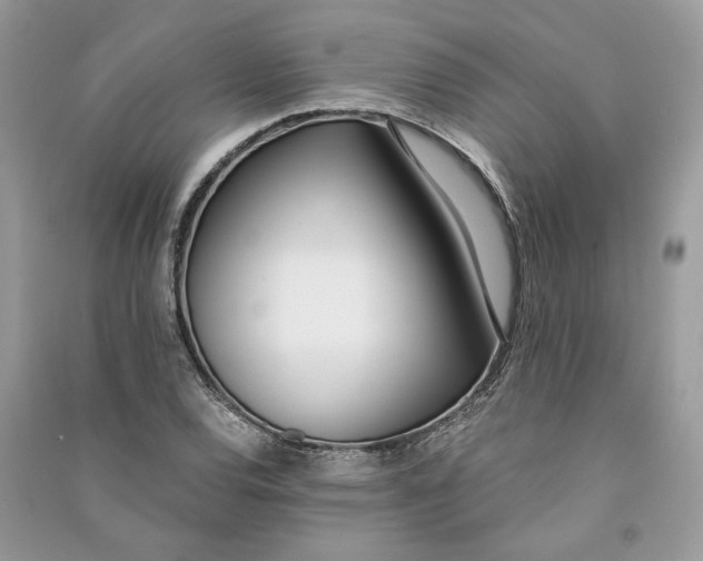 X0000090741120200708101657