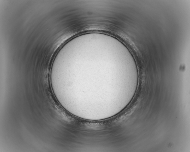 X0000090741121200708101657