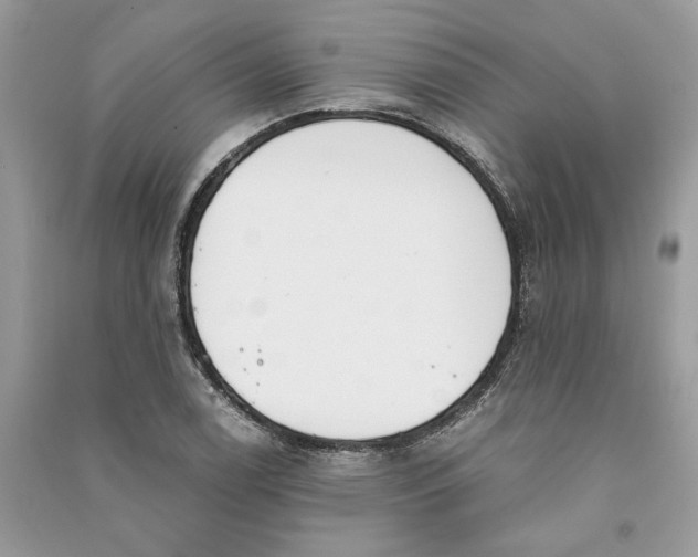 X0000090741122200708101657