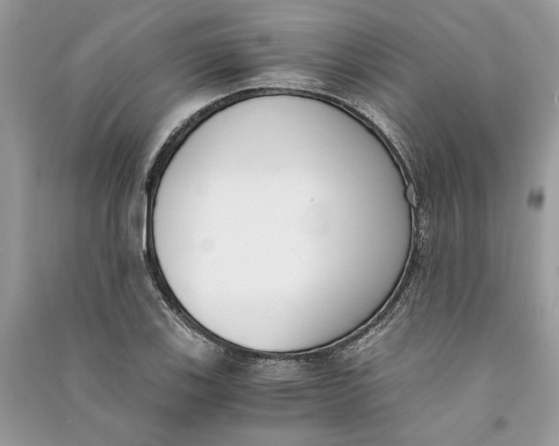 X0000090741123200708101657