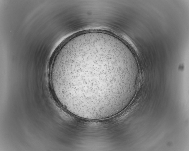 X0000090741124200708101657