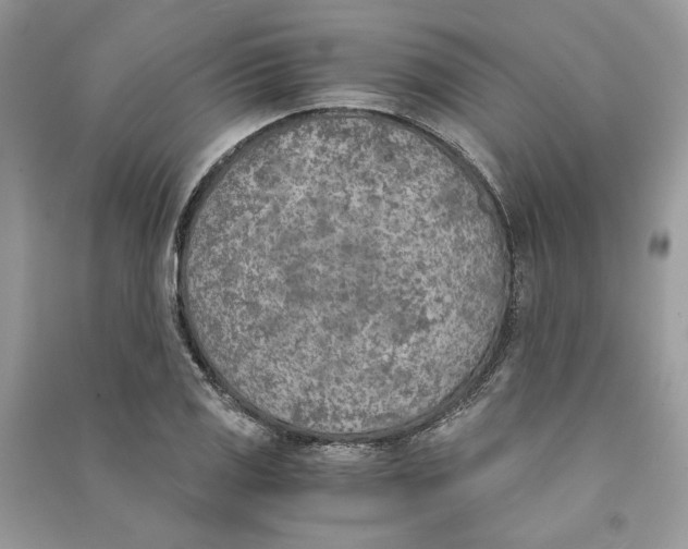 X0000090741125200708101657