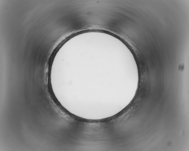 X0000090741126200708101657