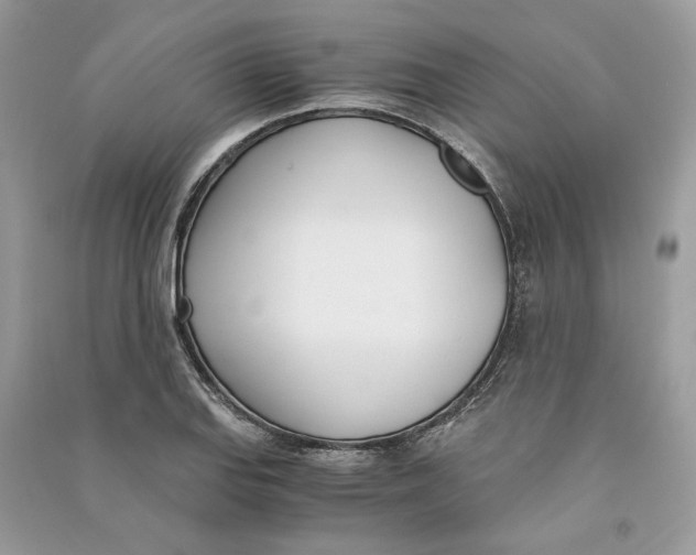 X0000090741127200708101657