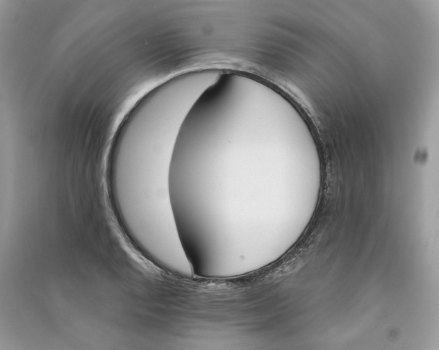 X0000090741128200708101657