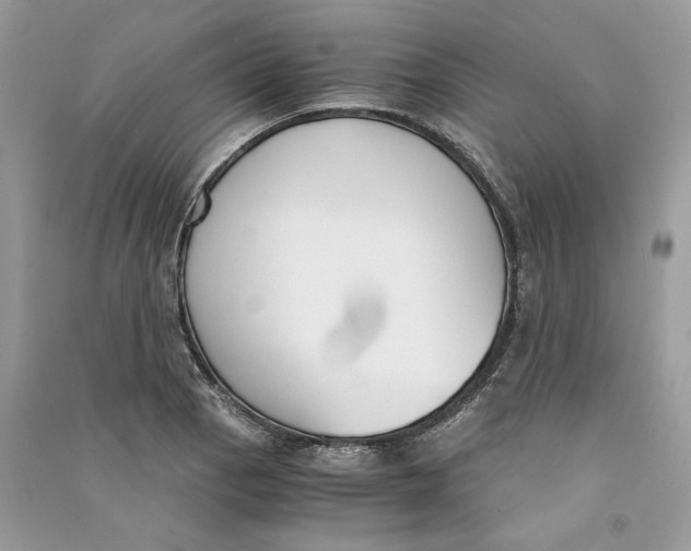 X0000090741129200708101657