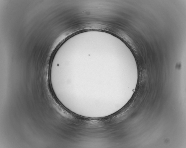 X0000090741130200708101657