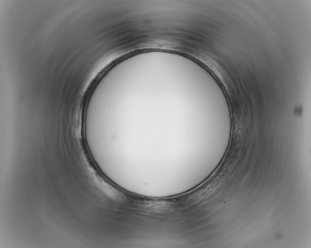 X0000090741131200708101657