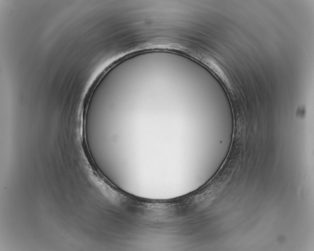 X0000090741132200708101657