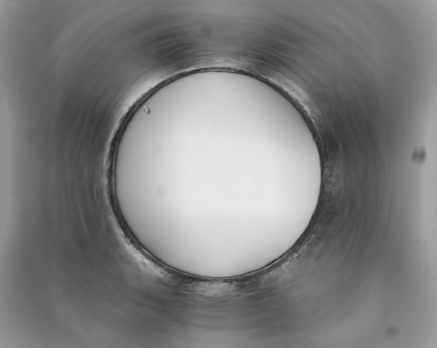 X0000090741135200708101657