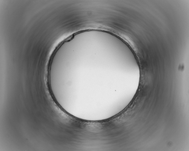 X0000090741136200708101657