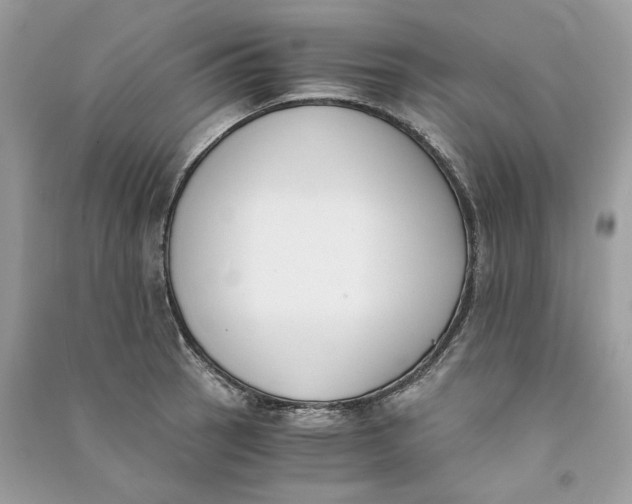 X0000090741137200708101657