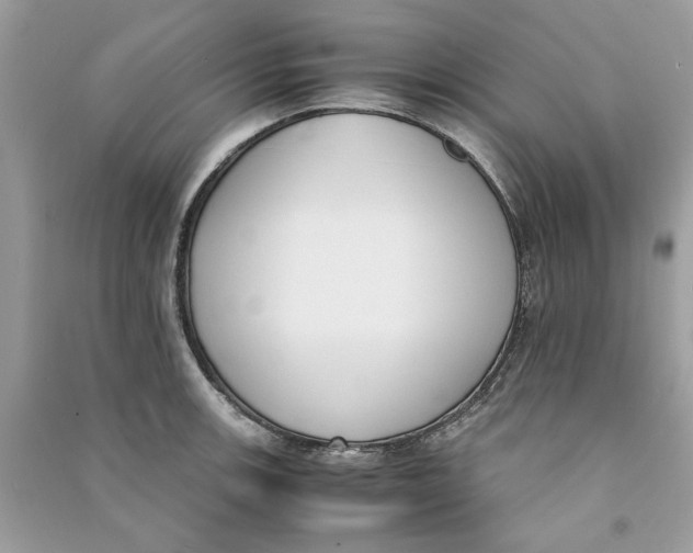 X0000090741139200708101657