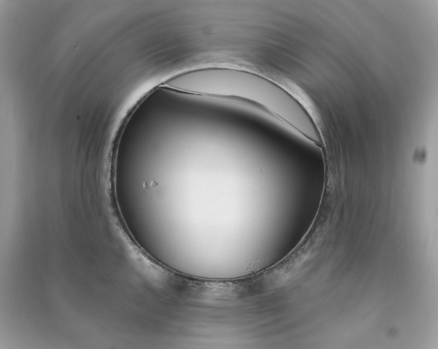 X0000090741144200708101657