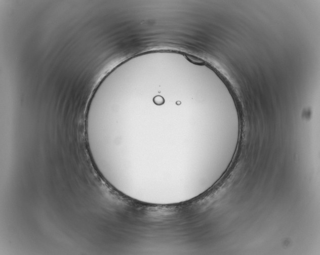 X0000090741145200708101657