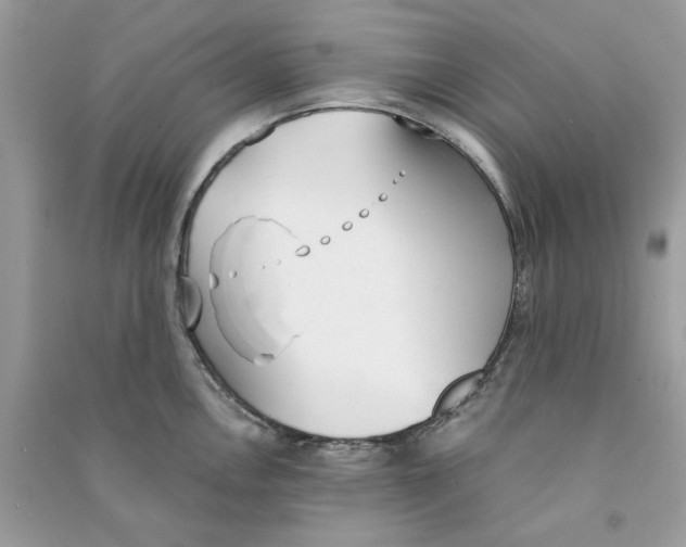 X0000090741146200708101657