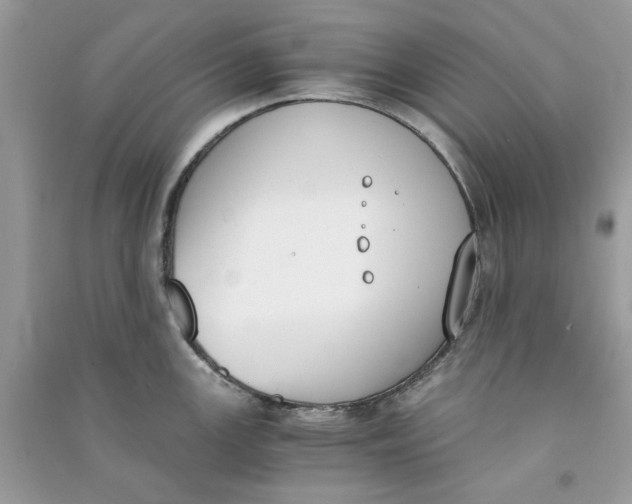 X0000090741147200708101657