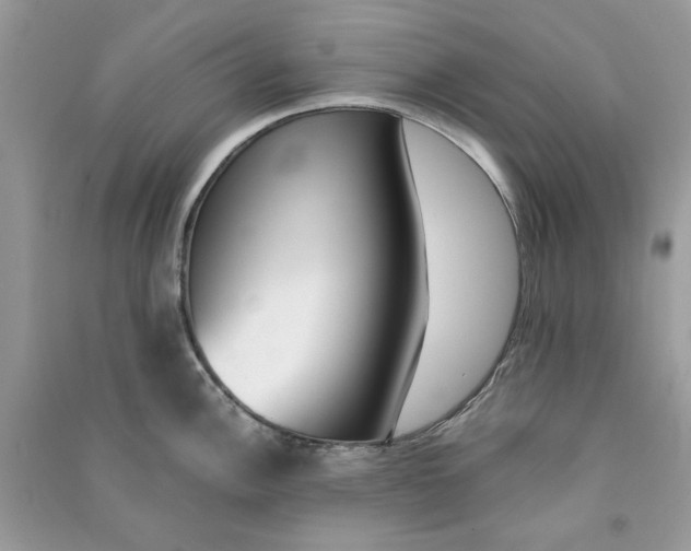 X0000090741148200708101657