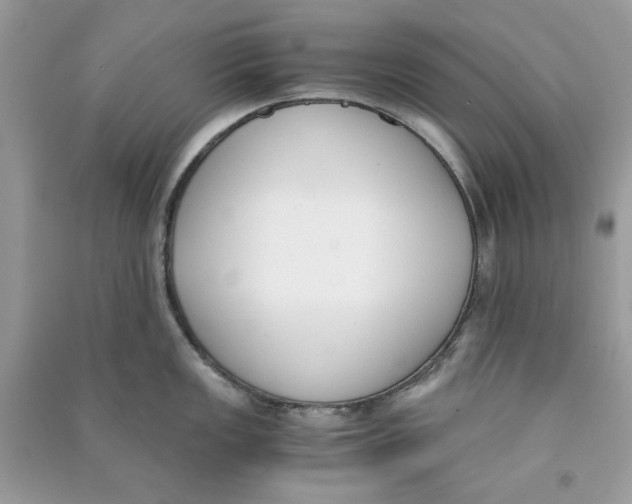 X0000090741149200708101657