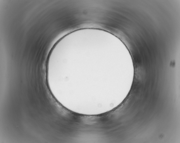 X0000090741150200708101657