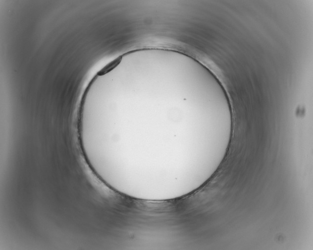 X0000090741152200708101657