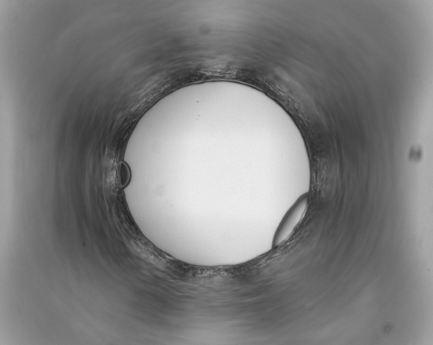 X0000090741154200708101656