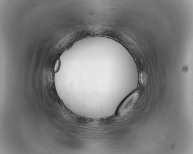 X0000090741155200708101656