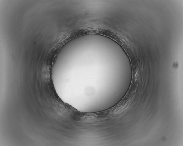 X0000090741156200708101656