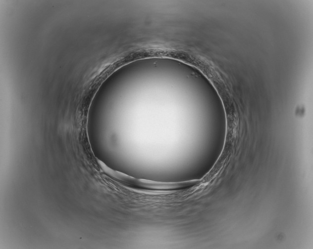 X0000090741157200708101656