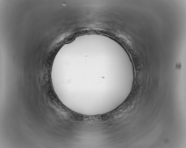 X0000090741159200708101656