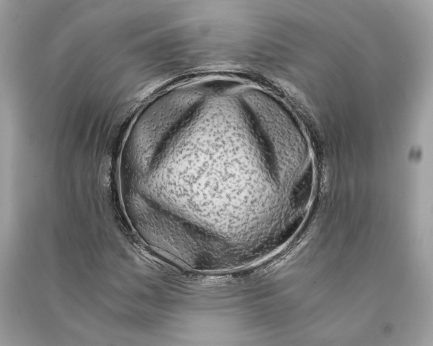 X0000090741161200708101656