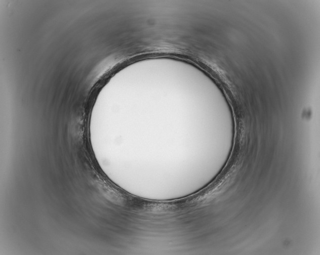 X0000090741163200708101656