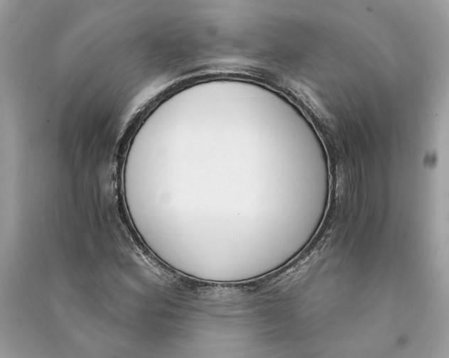 X0000090741164200708101656